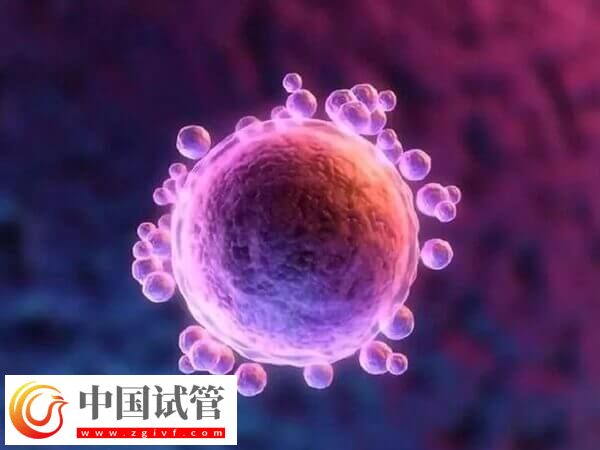 试管婴儿中用果纳芬好不好(图1)